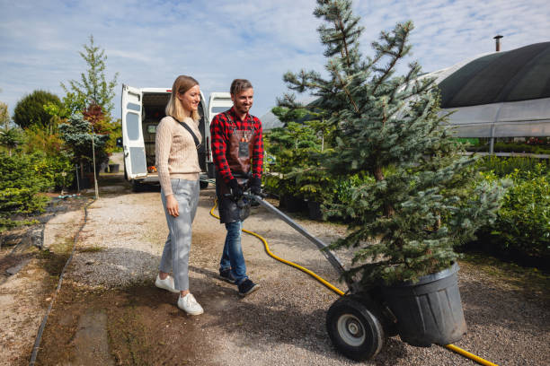 Mulching Services in Southaven, MS